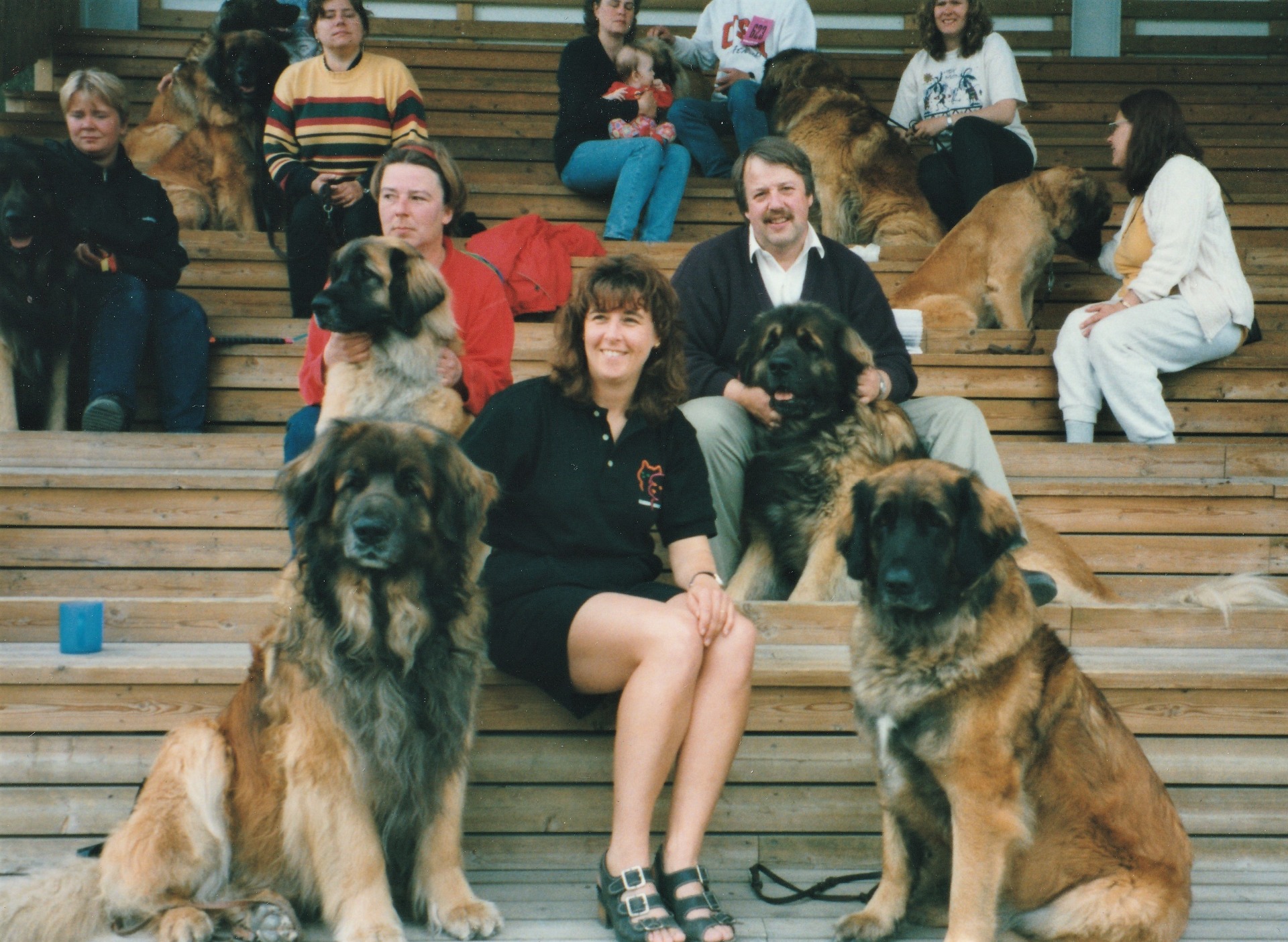 På fotot längst fram: Rubus och Bell (som tog cert båda dagarna i Piteå och därmed blev champion - GRATTIS!). Bakom Häxan och Bagheera och "i kulisserna" Nothing in Common, Raham, Fanny, Obless, Ossie och Färgarhustrun.