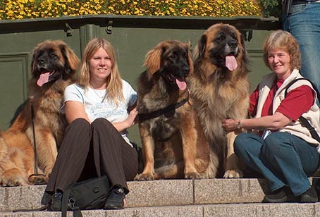 NamNam, Jenny, Dimma, Paco och jag